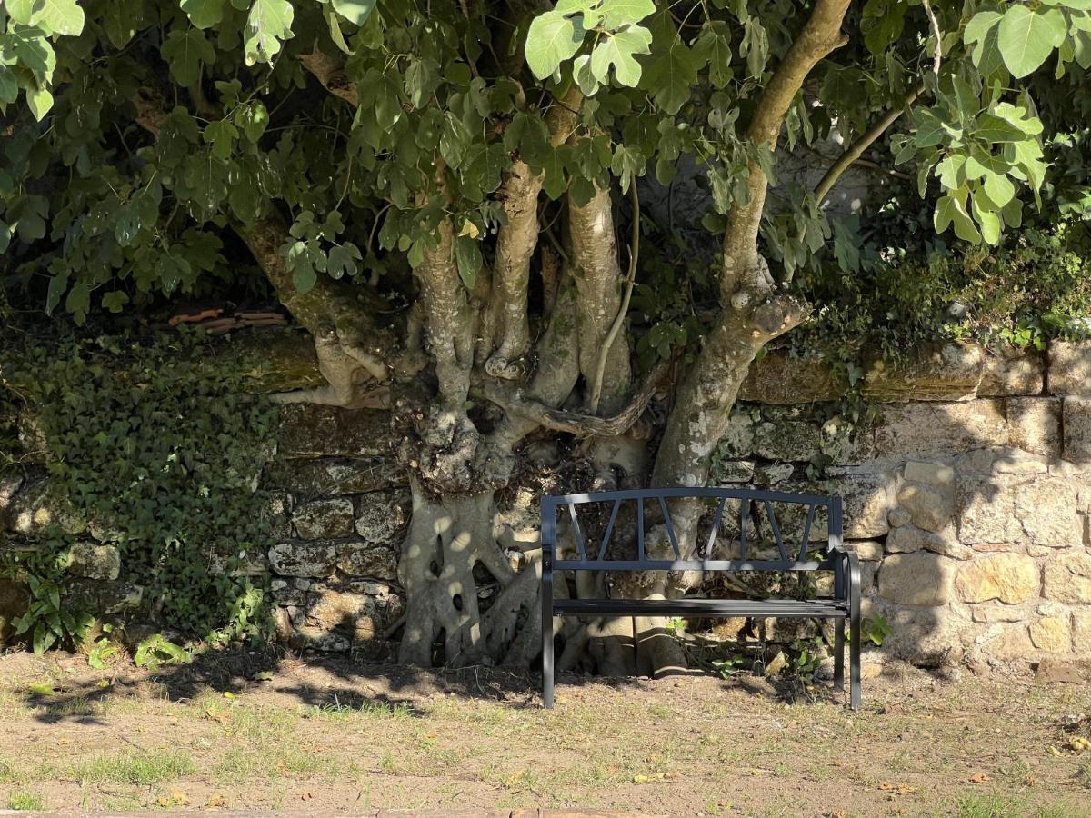 Saint-Sulpice-de-Faleyrens Gite Avec Piscine, Chateau De Lescours, St-Emilion المظهر الخارجي الصورة